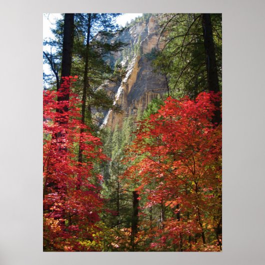 Herbst-Fantasie (15) Poster (Vorne)
