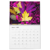 Herbst Farben 2026 Kalender von Thomas Minutolo (Mär 2027)