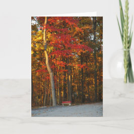 Herbst-Farben erhellen jeden möglichen Tag Karte