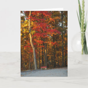 Herbst-Farben erhellen jeden möglichen Tag Karte