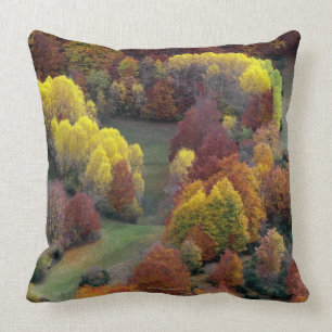 Herbst-Farben Kissen