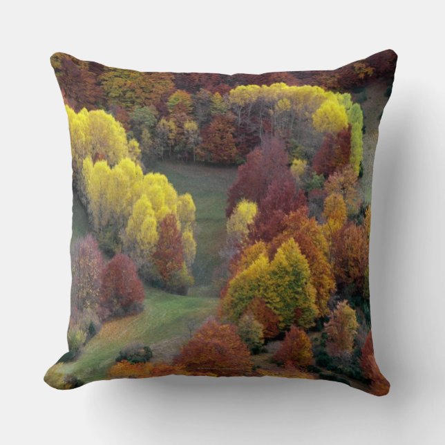 Herbst-Farben Kissen (Vorderseite)