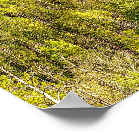 Herbst // Farbenfrohe Wälder Poster (Ecke)