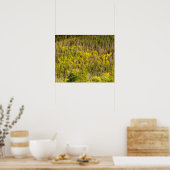 Herbst // Farbenfrohe Wälder Poster (Küche)