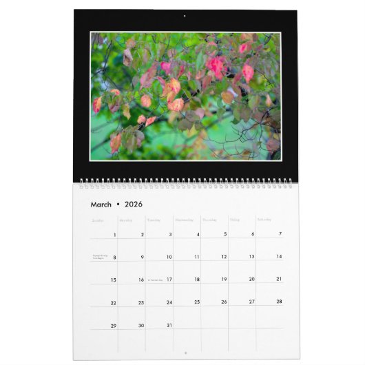Herbst färbt Kalender 2019 durch Thomas Minutolo (Mär 2026)