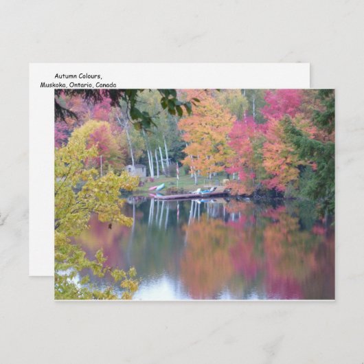 Herbst färbte Blätter Postkarte (Vorne/Hinten)