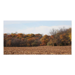 Herbst-Feld Fotodruck