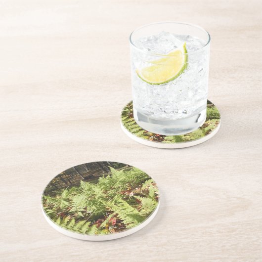 Herbst Ferns Getränkeuntersetzer (Seite)