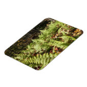 Herbst Ferns Magnet (Linke Seite)