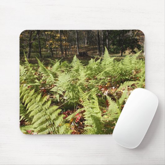 Herbst Ferns Mousepad (Mit Mouse)
