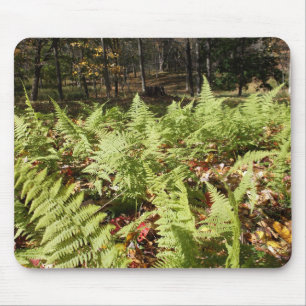 Herbst Ferns Mousepad