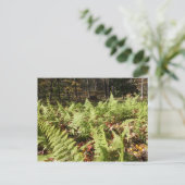Herbst Ferns Postkarte (Stehend Vorderseite)