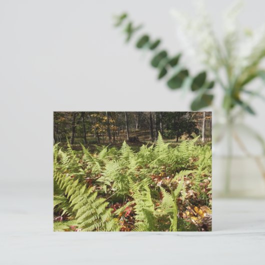 Herbst Ferns Postkarte (Stehend Vorderseite)