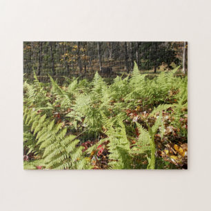 Herbst Ferns Puzzle