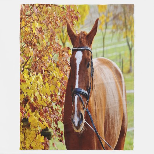 Herbst Fleecedecke (Vorderseite)