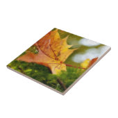 Herbst Fliese (Seite)