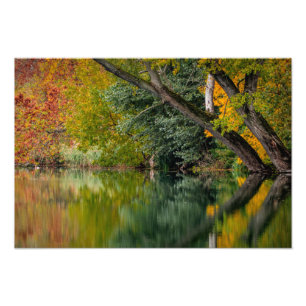 Herbst-Fluss Fotodruck
