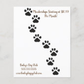 Herbst Flyer (Hinten)