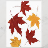 Herbst-Flyer Flyer (Hinten)