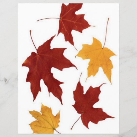 Herbst-Flyer Flyer (Hinten)