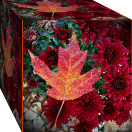 Herbst Foto Kunst, Dichtung und Musik