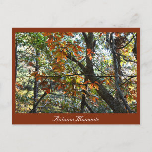 Herbst-Foto-Postkarte Postkarte