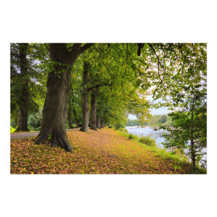 Herbst Fotodruck