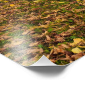 Herbst Fotodruck (Ecke)