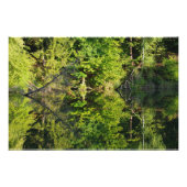 Herbst Fotodruck (Vorne)