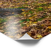 Herbst fotodruck (Ecke)