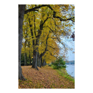 Herbst fotodruck