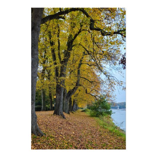 Herbst fotodruck (Vorne)
