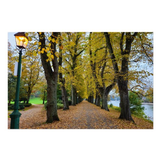 Herbst  fotodruck (Vorne)