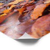 Herbst Fotodruck (Ecke)