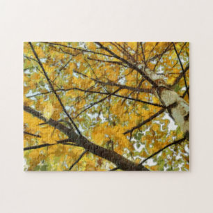 Herbst-gelbe Birken-Baum-Foto-Puzzlespiel Puzzle