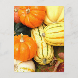 Herbst Gemüse Postkarte
