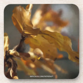 Herbst Getränkeuntersetzer (Vorderseite)