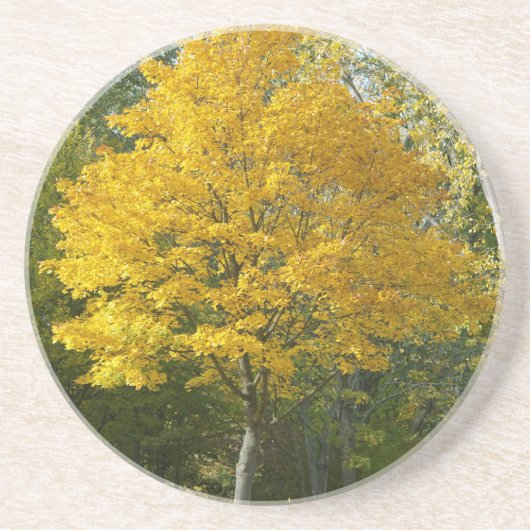 Herbst Getränkeuntersetzer (Vorne)