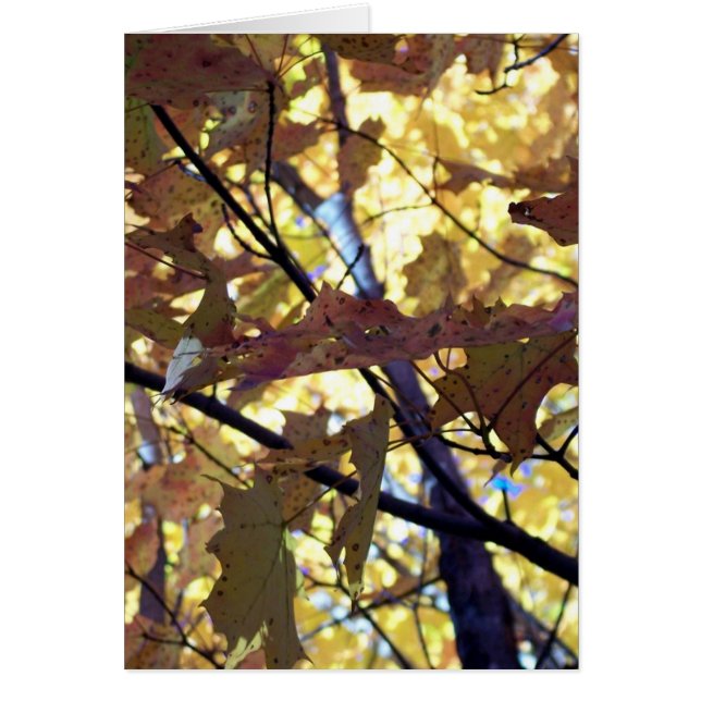 Herbst-Gold-Blätter (Vorne)