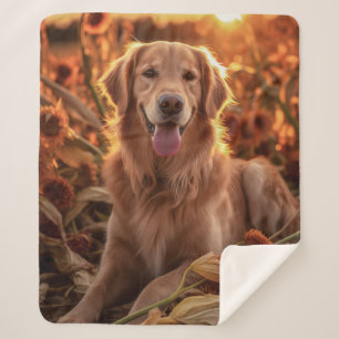 Herbst Golden Retriever Sherpadecke