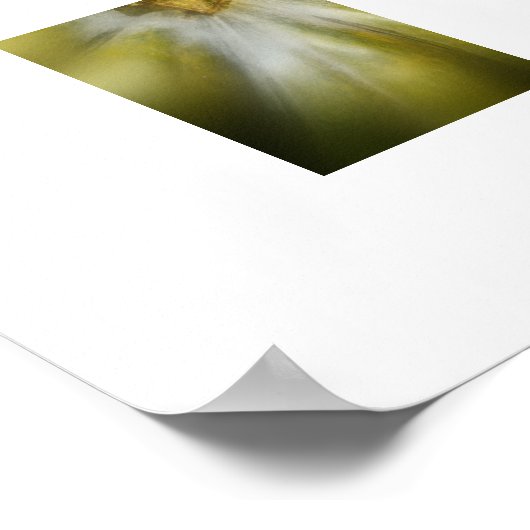 Herbst Gourds Poster (Ecke)