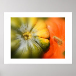 Herbst Gourds Poster