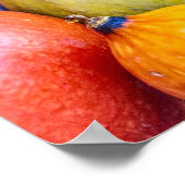 Herbst Gourds Poster (Ecke)