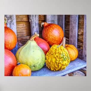 Herbst Gourds Poster