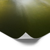 Herbst Gourds Poster (Ecke)