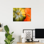 Herbst Gourds Poster (Heimbüro)