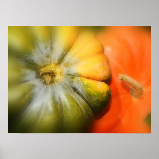 Herbst Gourds Poster (Vorne)