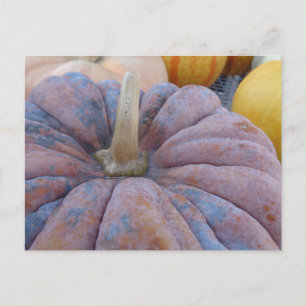 Herbst Grüße! Postkarte