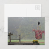 Herbst Grüße! Von der Vogelscheuche! Postkarte (Vorne/Hinten)