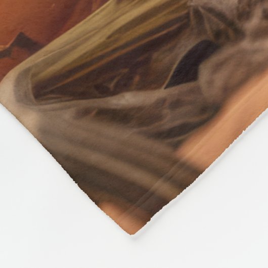 Herbst Havanese Fleecedecke (Ecke)